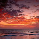 ���� ������, �����, 53 ���� - ��������� 22 ������� 2009