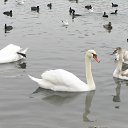 ���� ����� - ���������� ��������!!!, �����������, 56 ��� - ��������� 3 ������� 2009 � ������ �������