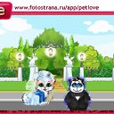 ���� K., �������� - ��������� 23 �������� 2010 � ������ �PetLove�