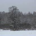 ���� �����, ������ - ��������� 12 ������ 2012 � ������ ������������� ���.�