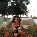 ���� �������, ������, 66 ��� - ��������� 16 ������ 2010 � ������ ���