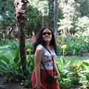  , , 33  -  15  2009   . .  