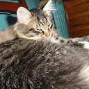 ���� ���������, ������, 26 ��� - ��������� 14 ������ 2011 � ������ �RoadKing�