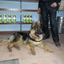 ������ � � !!!!!!! �� ������� ���� ����������