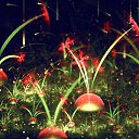 ���� ������, ������ - ��������� 10 ������� 2013 � ������ ��������� ������