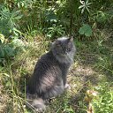 ���� Toryst, �����-���������, 53 ���� - ��������� 18 ����� 2010 � ������ ������������