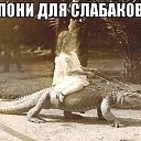 ���� �������, �����������, 37 ��� - ��������� 14 ���� 2013 � ������ ������ ��������