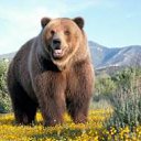 ���� Elmar, ����, 47 ��� - ��������� 2 ������� 2013 � ������ ���� ����������