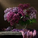 ���� �������, ��� - ��������� 26 ������ 2013 � ������ �������....�