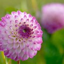 ���� ����� - ���������� ��������!!!, �����������, 56 ��� - ��������� 11 ������ 2010 � ������ ����������