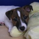 ���� ������, ������, 48 ��� - ��������� 2 ���� 2012 � ������ �������