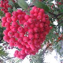 ���� ������, ������, 59 ��� - ��������� 21 ������� 2012 � ������ ���� ����