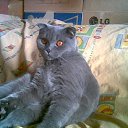 ���� ����, ������, 63 ���� - ��������� 11 ������� 2011 � ������ ���� ����������