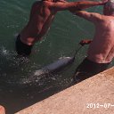 ���� M Oil, ������, 60 ��� - ��������� 31 ���� 2012 � ������ �2�