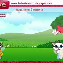   , -, 31  -  15  2010   PetLove