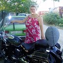 ���� ���� (���������), ������ - ��������� 8 ������� 2013 � ������ ���� ����������