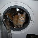 ���� �����, ��������, 58 ��� - ��������� 17 ��� 2013 � ������ ��������