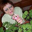 ���� ���������, ����, 61 ��� - ��������� 2 ������� 2011 � ������ ���� ����������