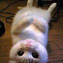 ���� �����&copy;, ������, 48 ��� - ��������� 2 ������� 2011 � ������ ���� ����������