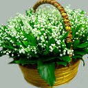 ���� ���� ������ ����, ���� - ��������� 18 ��� 2010 � ������ �������