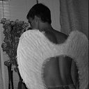 ���� Sio, ���������, 33 ���� - ��������� 13 ������ 2011 � ������ ���� ����������