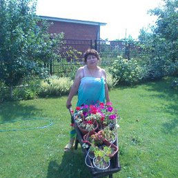 ����, ���������