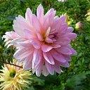 ���� ����, ������ �������� - ��������� 23 ������� 2011 � ������ �������