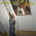 ���� ��������, ������ - ��������� 27 �������� 2010 � ������ ���������!!!�