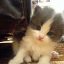 ���� ���������, ���������, 47 ��� - ��������� 29 ���� 2010 � ������ �������