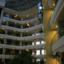  ok, --, 44  -  20  2012    2011 ()