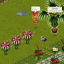  ,  -  31  2012   Tropikania