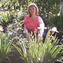 ���� ������, ������, 40 ��� - ��������� 12 ���� 2013 � ������ ���� ����������