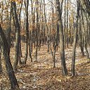 ���� �������, ���������, 42 ���� - ��������� 11 ������ 2012 � ������ ���� ����������