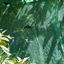  Infinitty, , 27  -  29  2011    