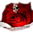 ���� ������, ������, 59 ��� - ��������� 20 ���� 2012 � ������ �����ۻ