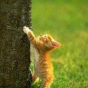  ,  , 23  -  13  2011   