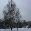 ���� �����, ������ - ��������� 12 ������ 2012 � ������ ������������� ���.�