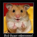 ���� �������, �������, 41 ��� - ��������� 15 ������ 2013