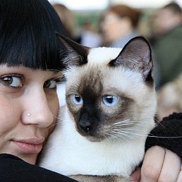 ���� ����, ������, 38 ��� - ��������� 31 ��� 2011