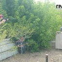 ���� �������, ��������, 37 ��� - ��������� 23 ���� 2013 � ������ ���� ����������