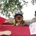  , , 50  -  1  2012   2012