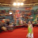 ���� �������, ����������, 71 ��� - ��������� 14 ������� 2010 � ������ ���� ����������