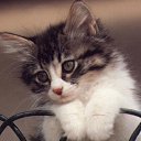  ,  , 23  -  13  2011   