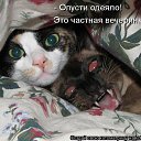 ���� �����, ������ �����, 50 ��� - ��������� 2 ������ 2009 � ������ ��������� ��������