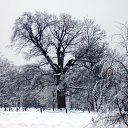 ���� Val, ������, 51 ��� - ��������� 18 ������ 2011 � ������ ���������λ