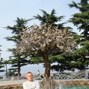 ���� �������, ������, 39 ��� - ��������� 5 ������ 2012 � ������ ������� �������