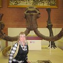 ���� ������, ������, 56 ��� - ��������� 25 ������ 2012 � ������ ����������� �����