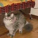 ���� Byaka, ���������, 41 ��� - ��������� 28 ������ 2010 � ������ ���� ������ ����� ������!!!�