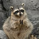 ���� ����, �������� - ��������� 3 ��� 2010 � ������ ��������� ��������