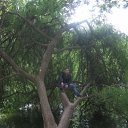 ���� ���������, ������, 39 ��� - ��������� 15 ������� 2010 � ������ ���� ����������